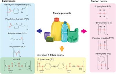 Toward Microbial Recycling and Upcycling of Plastics: Prospects and Challenges